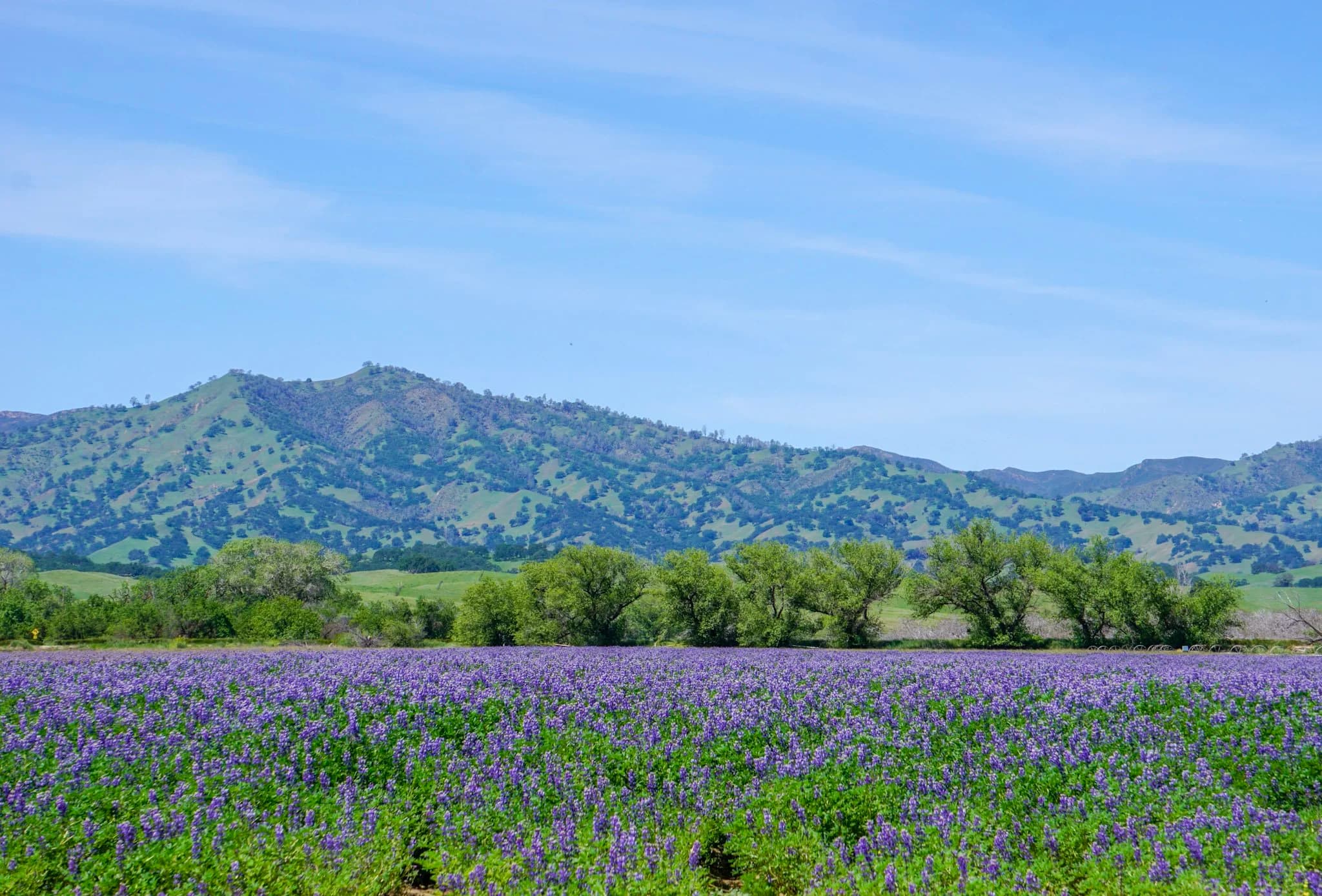 Clarksburg California Map Guide for Visitors