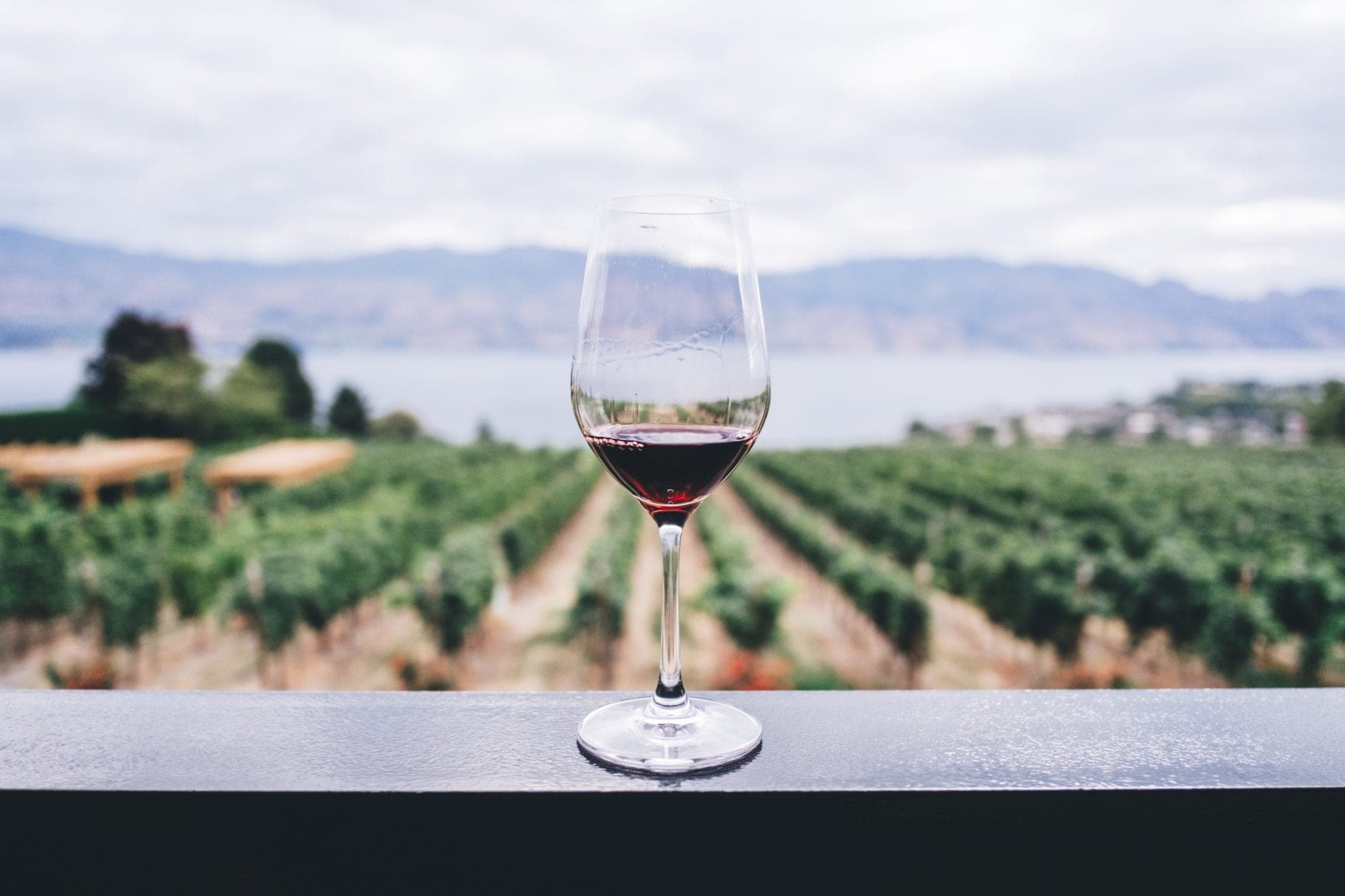 The Ultimate Winery Limo Service for Wine Lovers in British Columbia