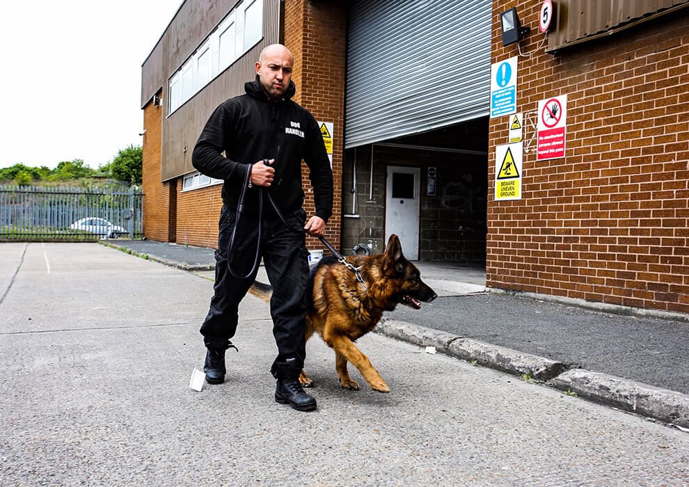 Security Dog Services in Cambridge for Advanced Protection