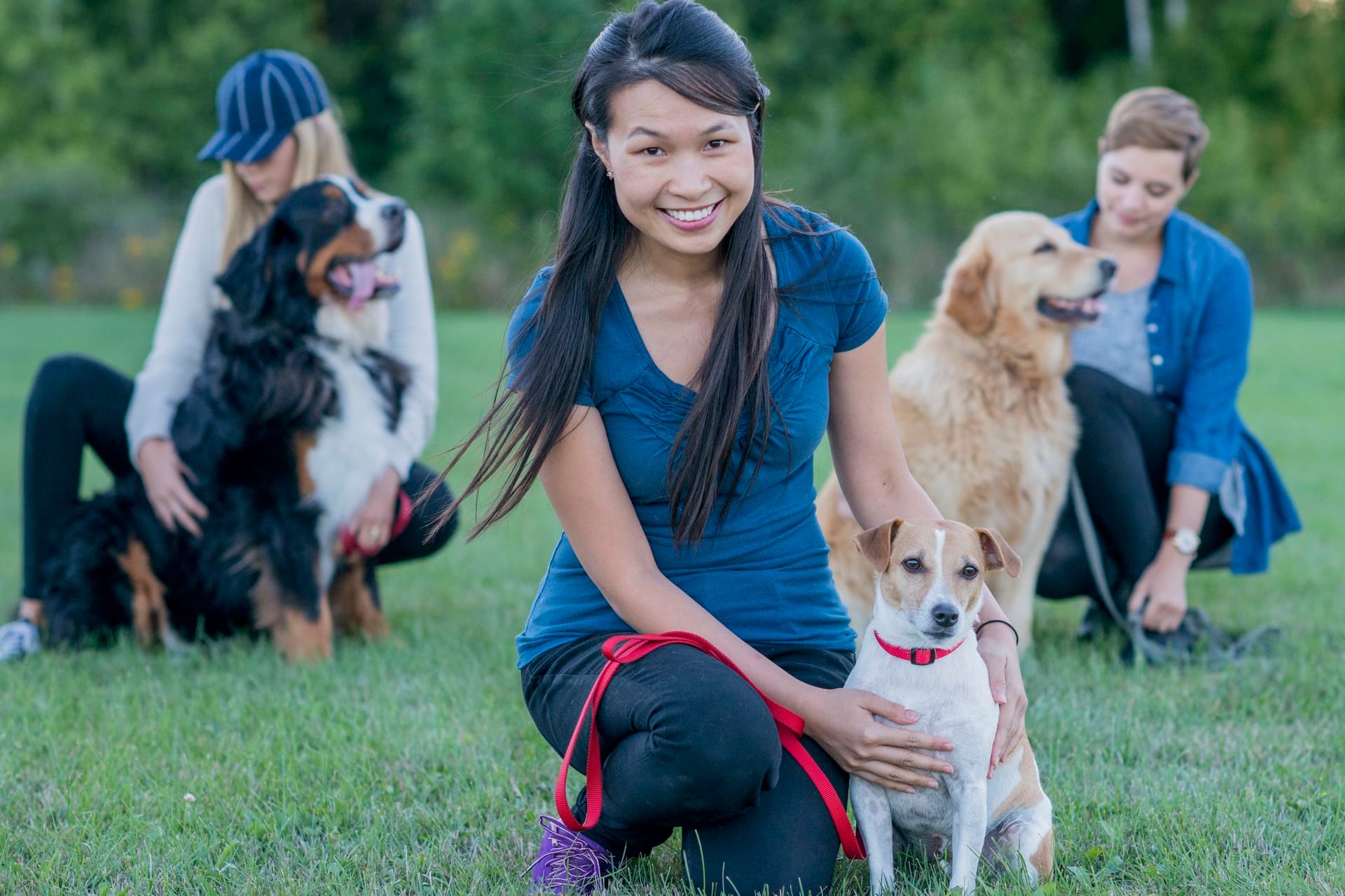 Understanding ESA Dog Rules: What You Need to Know in 2026