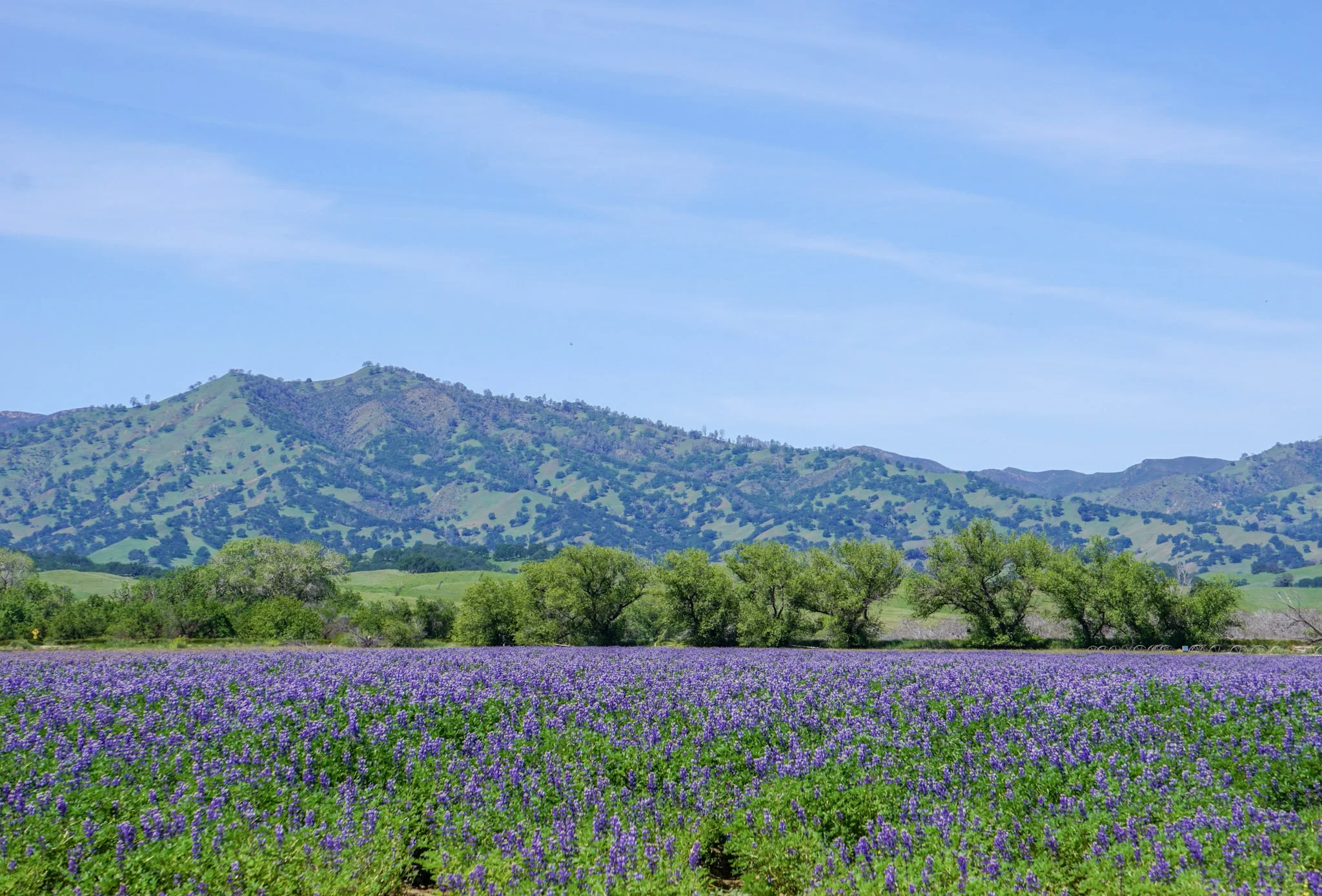 Clarksburg California Map Guide for Visitors