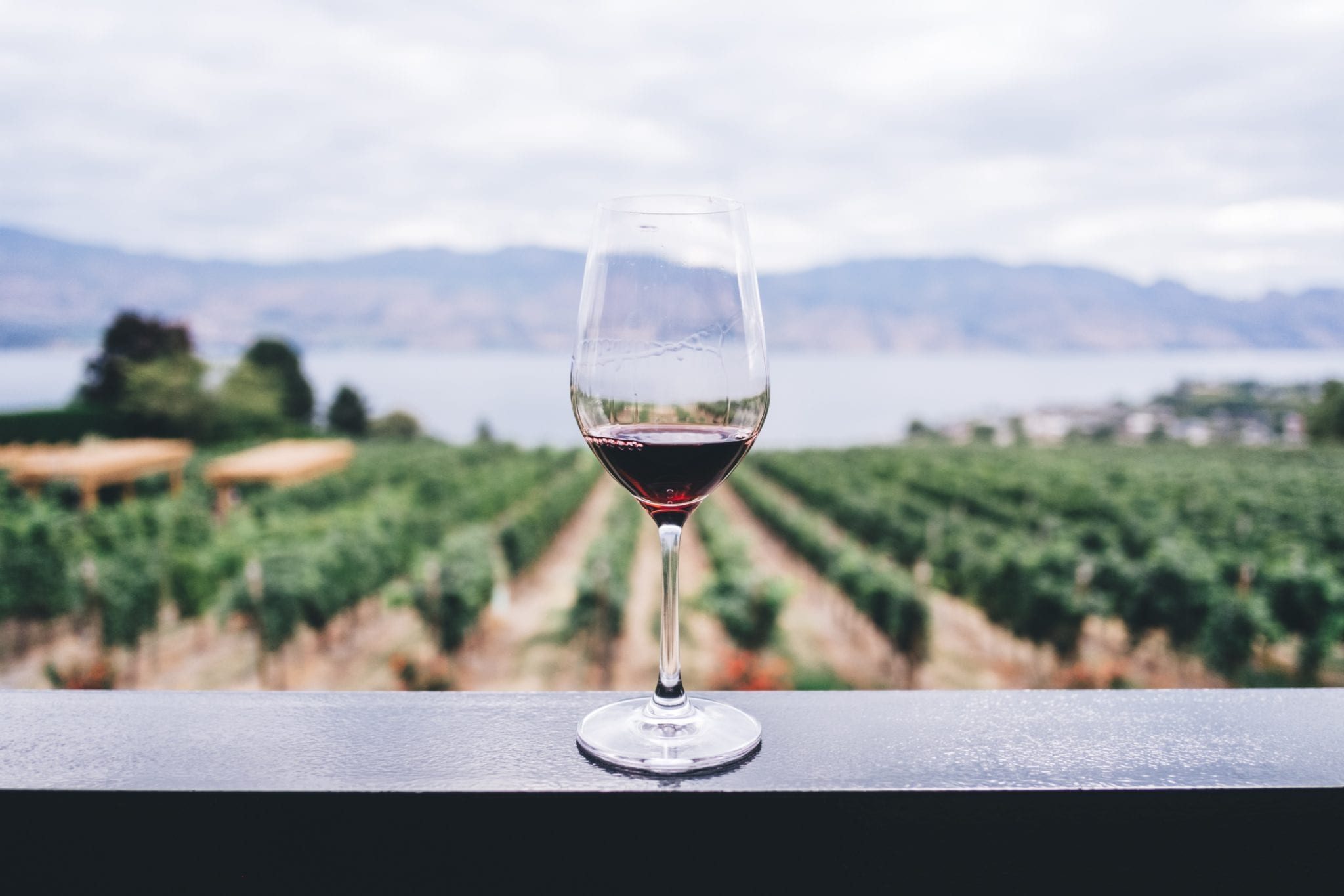 The Ultimate Winery Limo Service for Wine Lovers in British Columbia