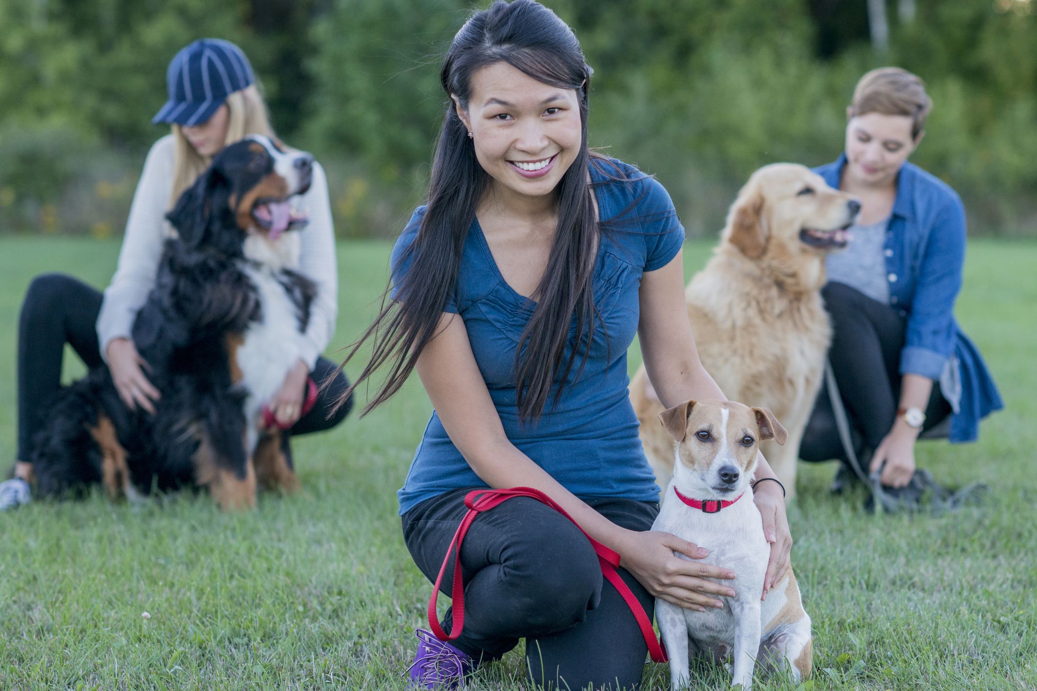 Understanding ESA Dog Rules: What You Need to Know in 2026