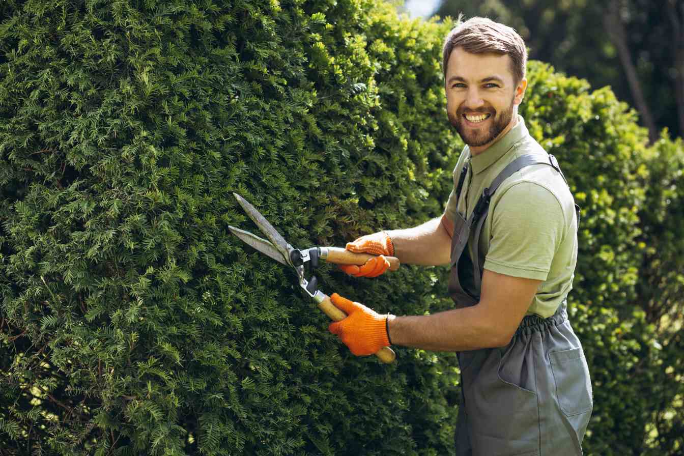 Les services indispensables proposés par un Paysagiste