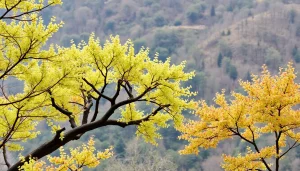 葉酸サプリ おすすめの選び方についての知識を深めるビジュアルコンテンツです。