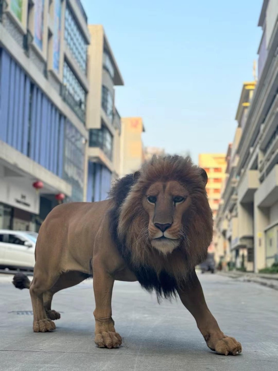 WhatsApp Image 2025-12-03 at 11.17.44 AM